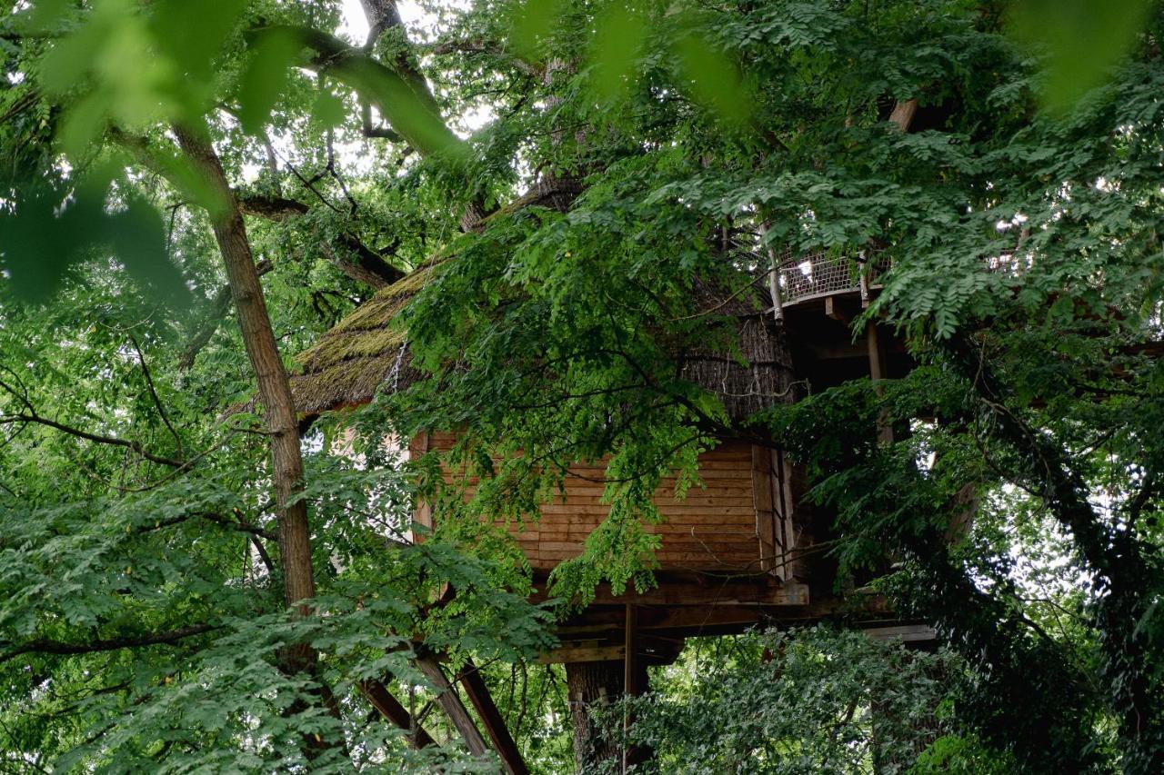 Cabane Perchee Dans Les Arbres Saint-Hilaire-en-Morvan Exterior photo