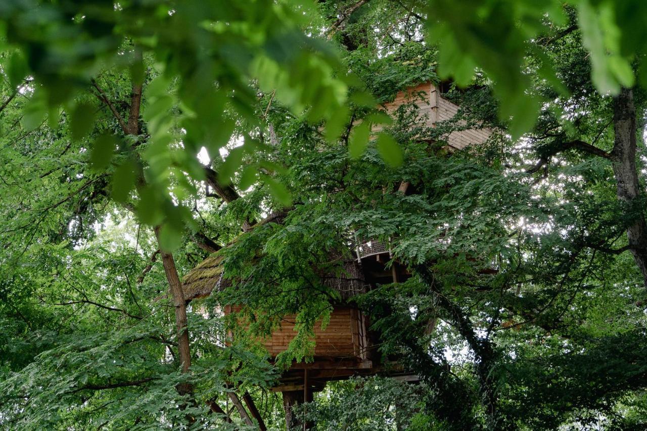 Cabane Perchee Dans Les Arbres Saint-Hilaire-en-Morvan Exterior photo